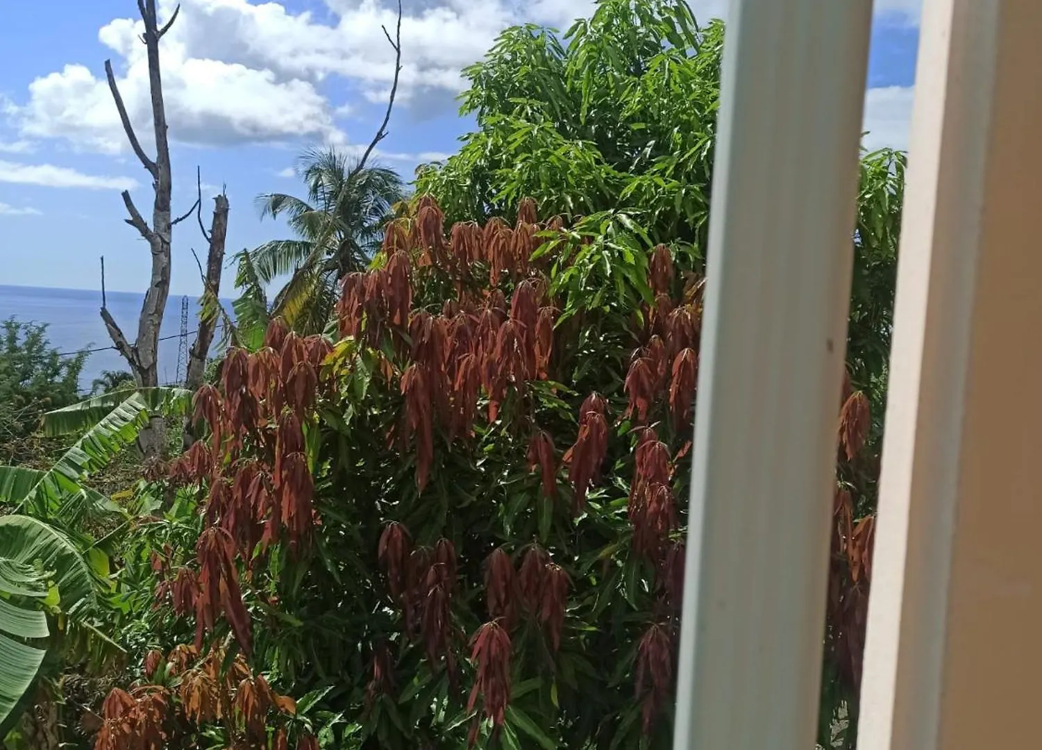 Lacazavanoo Baillif Guadeloupe