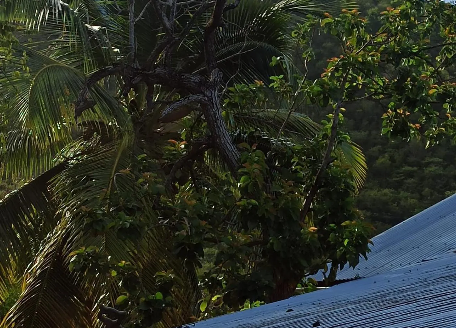 Lacazavanoo Baillif 0*,  Guadeloupe